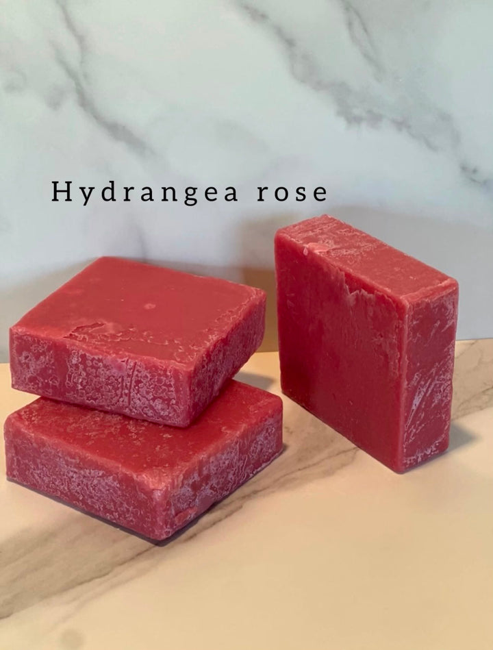 Hydrangea Rose